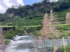 -门溪山居·镜岭味道