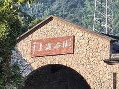 -千岛湖石林