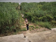 -合肥滨湖国家森林公园