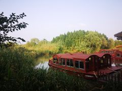 -溱湖国家湿地公园