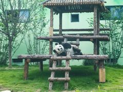 -泉城欧乐堡梦幻世界