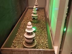 -丽思卡尔顿酒店泳池(金融街店)