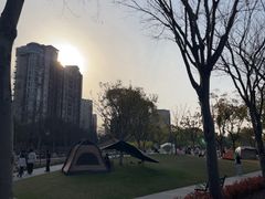 -新江湾城公园
