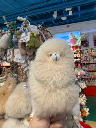 -Hamleys哈姆雷斯(东方福来德店)