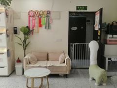 -柚子猫舍·精品猫舍购猫·猫咪认养·购宠·宠物店