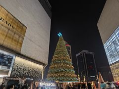 -Tiffany & Co.蒂芙尼
(南京德基广场店)