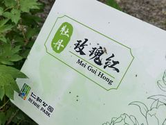 -仁和公园(顺义区)