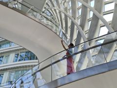 -凤凰中心
