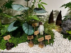 -竹野·上|老字号全竹宴