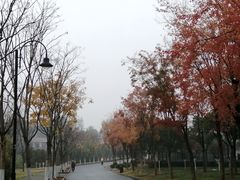 -东湖磨山景区