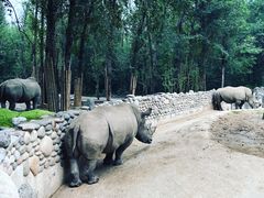 -北京野生动物园