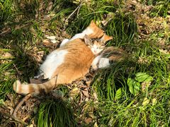 -普陀山风景名胜区-法雨禅寺