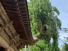 -张掖大佛寺景区