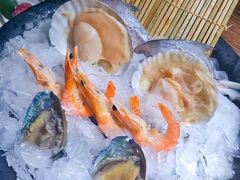 海鲜拼盘-九鼎轩脆毛肚火锅(三钢里店)