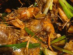 老头儿油爆沼虾-老头儿油爆虾(星光一期店)