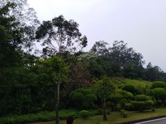 -福建鲤鱼洲酒店