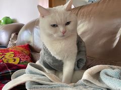 -东北特色水饺(郭家桥店)