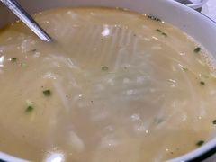 -丁老爷子苏香圆