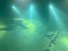 -白鹤梁水下博物馆