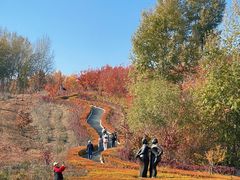 -长春世界雕塑园冰雪艺术天地