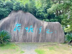 -荷塘月色湿地公园·向阳花洲