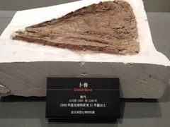 -盘龙城遗址博物院