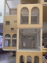-超级奈尔宝SUPER NEOBIO(杭州星光店)