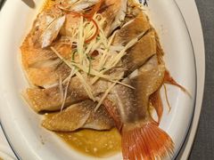 -东方饺子王(工农大路店)