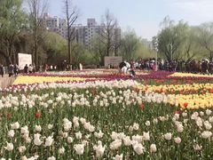 -大宁灵石公园西门票处