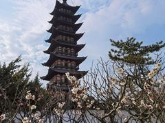 -上海方塔园