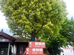 -鸣鹤古镇