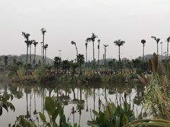 -枫香湖儿童公园