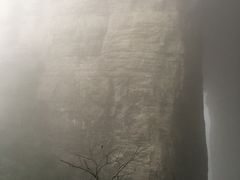 -武隆天坑地缝国家地质公园