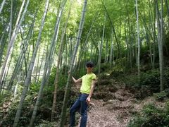 -宁波五龙潭景区