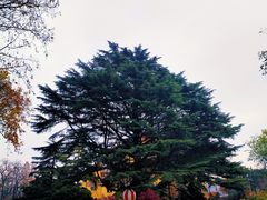-青岛德国总督楼旧址博物馆