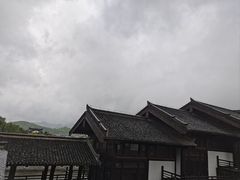 -大唐贡茶院