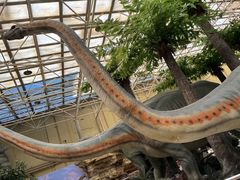 -国家自然博物馆