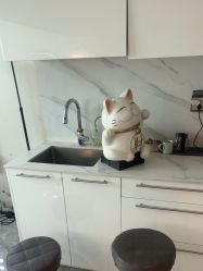 -米娜造型蛋白烫发