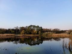 -长广溪湿地公园