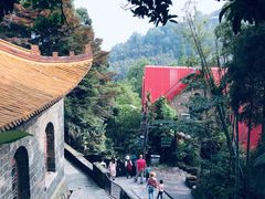 -莫干山风景区