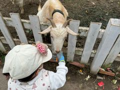 -前小桔亲子创意农场·草莓采摘·露营烧烤