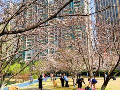 -西北湖绿化广场