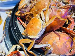 -半岛听涛蒸汽海鲜自助(K11店)
