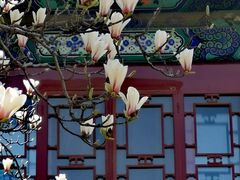 -大钟寺古钟博物馆