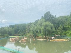 -宁波野生动物园