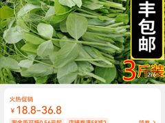 -粤小煲鲜汤猪肚鸡(丹尼斯二天地店)