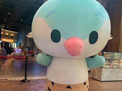 -杭州开元森泊度假乐园