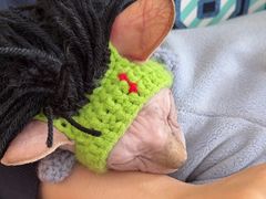 -平行世界·猫咖(首经贸店)