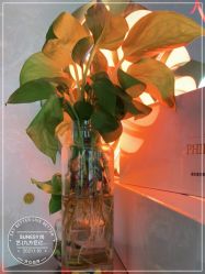 -尚艺造型.剪烫染.接发