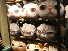 -猫咪博物馆(顶澳仔猫街店)